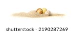 Shells in sand pile isolated. Seashell on sandy beach, ocean dune clams, summer seashore conches on white background, vacation concept