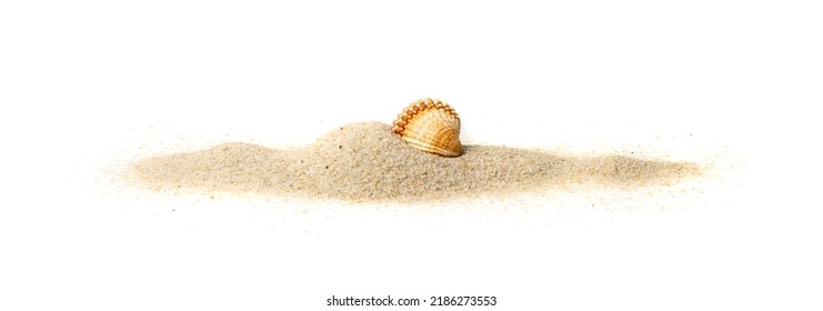 Shells in sand pile isolated. Seashell on sandy beach, ocean dune clams, summer seashore conches on white background, vacation concept - Shutterstock ID 2186273553