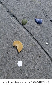 Shells And Sand At Sidney Spit, Gulf Islands National Park Reserve Of Canada