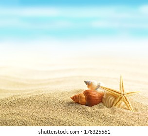 Shells And Starfish On Sandy Beach