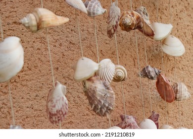 5,670 Shell string Images, Stock Photos & Vectors | Shutterstock