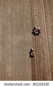 Shelly, Idaho, USA 3 Oct., 2014- An Aerial View Of Farmers Using Farm Machinery In The Field To Harvest Potatoes.  The Potatoes Are Dug By A Potato Combine, And Taken To A Cellar For Winter Storage.