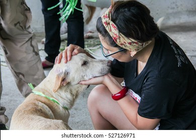 Shelter For Homeless Dogs