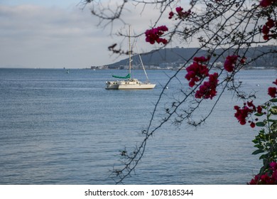 Shelter Island, San Diego, Ca 92107