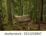 Shelter at Lake George in Mount Rainier National Park