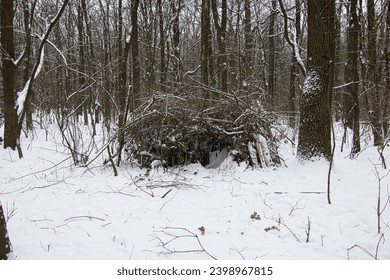 Shelter made of branches for wild animals in a winter snowy forest. - Powered by Shutterstock