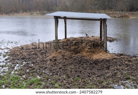 Shelter or Shed for Animal Feed in a Flooded Field during Persistent Rainfall
