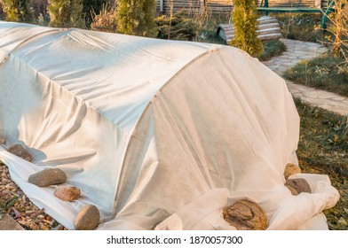 Shelter For The Winter Spunbond Plants On The Plot