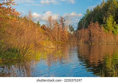 A Sheltered Cove in Evening Light on Clark Lake in the Sylvania Wilderness in Michigan - Shutterstock ID 2235375197