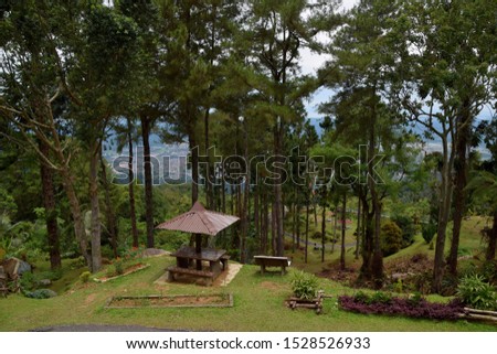 A sheltered picnic table on Bukit Larut (Maxwell Hill), with alpine trees and Taiping city view from the hill edge.