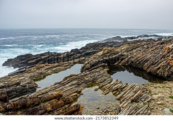 Sheltered tidal pools\
along the jagged and tilted rock strata of the Tsitsikamma coast,\
South Africa