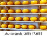 Shelves with cheese in a cheese shop in Amsterdam, Netherlands