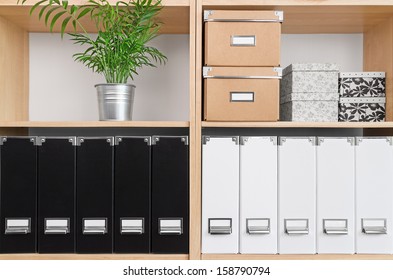 Shelves with storage boxes, black and white folders, and green plant.