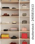 Shelves with stylish clothes and accessories in boutique