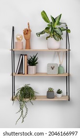 Shelving unit with beautiful houseplants, book and decor on light wall - Shutterstock ID 2046166997