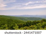 Shenandoah National Park along the Blue Ridge Mountains in Virginia, USA