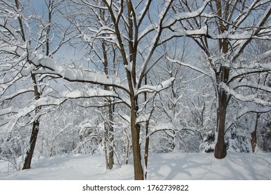 Shenandoah Valley Country Farm House After Heavy Snow In The Winter