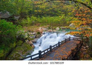 Shennongjia Xiangxiyuan Autumn