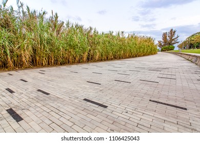 Shenzhen Bay Park Night And No One On The Ground Plank Road