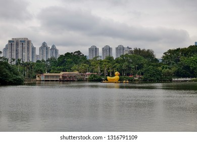 SHENZHEN, CHINA -23 DEC 2018- View of giant yellow duck boats on a lake in Lizhi (litchi, lychee) Park in Shenzhen, Guangdong, China.