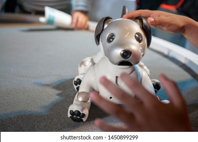 160 Aibo Stock Photos, Images & Photography | Shutterstock