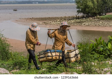 Shenzhen / China - July 27th 2015: Crab-collectors Working At One Of The Small Lagoons Of Shenzhen Bay.