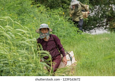 Shenzhen / China - July 27th 2015: Crab-collectors Working At One Of The Small Lagoons Of Shenzhen Bay.