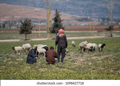 Shepherd And Goat Herder, Beeka Valley, Lebanon, Middle East 