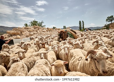 14 523件の ダゲスタン の画像 写真素材 ベクター画像 Shutterstock