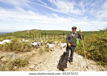 Shepherd with his flock in the countryside from Portugal