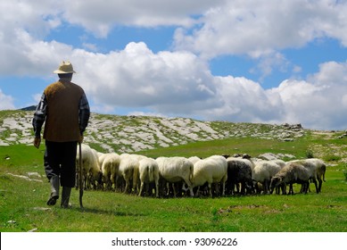 Shepherd with his sheep on pasture - Powered by Shutterstock