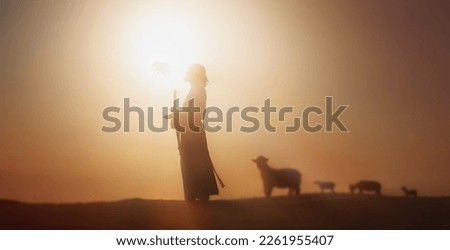 Shepherd Jesus Christ leading the sheep and praying to God and in the field bright sun light and Jesus bokeh silhouette background
