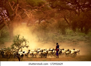 shepherd leading a flock of goats  - Powered by Shutterstock