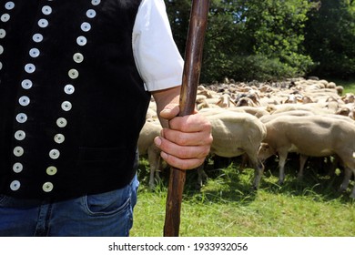 
Shepherd With Shepherd's Staff, Closeup