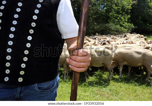 \
shepherd with shepherd\'s\
staff, closeup