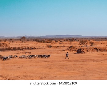 Shepherd Walking In Desert Of Sahara In Agadez Region In Niger 