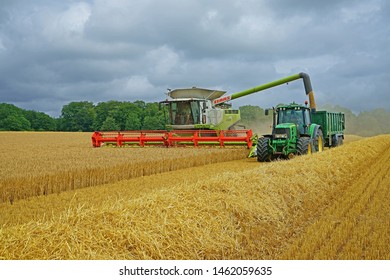 Sherborne, Gloucestershire, UK July 26th, 2019, a combine harvester transferring ripe barley into a trailer driven along side by a tractor to be stored off site. - Shutterstock ID 1462059635