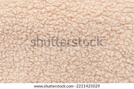 Sherpa fabric soft texture beige aesthetic furniture wool cuddle teddy bear fabric