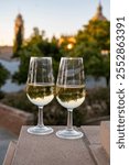 Sherry wine glasses and old bogedas jerez wine cellars and church on background in Jerez de la Frontera, wine glasses served outdoor, cityview, Andalusia, Spain