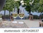 Sherry wine glasses and old bogedas jerez wine cellars on background in Jerez de la Frontera, wine glasses served outdoor, cityview, Andalusia, Spain