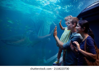 She's focused on those fish. Cropped shot of a little girl on an outing to the aquarium. - Powered by Shutterstock