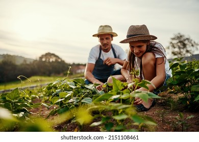 Shes getting some hands on education. Low angle shot of a handsome man and his young daughter working the fields on their farm. - Powered by Shutterstock