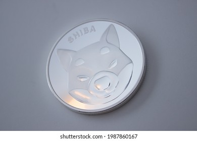 Shiba INU Coin Over White Background