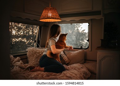 shiba inu dog and owner looking out the window from a trailer bed