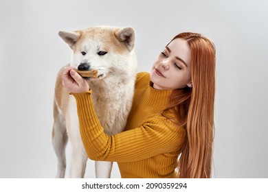 Shiba Inu Dog Sniffing Bone In Hand Of European Woman. Concept Of Relationship Between Human And Animal. Idea Of Pet Care. Beautiful Red Hair Girl. Isolated On White Background In Studio