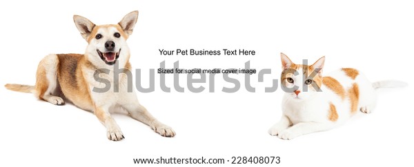 Shiba Inu Mixed Breed Dog Domestic Stock Photo Edit Now 228408073