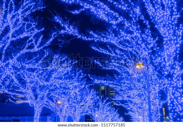 Shibuya Blue Cave Winter Illumination Festival Stock Photo Edit Now