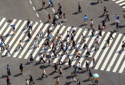 Shibuya Crossing From Top View Day Time In Tokyo, Japan