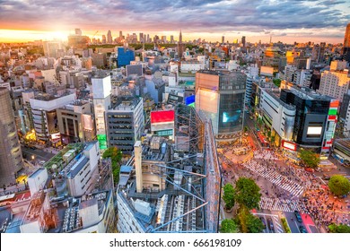 Shibuya Crossing Top View Twilight Tokyo Stock Photo (Edit Now) 666197236