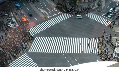 Street Crossing Tokyo 스톡 사진 1179209398 | Shutterstock